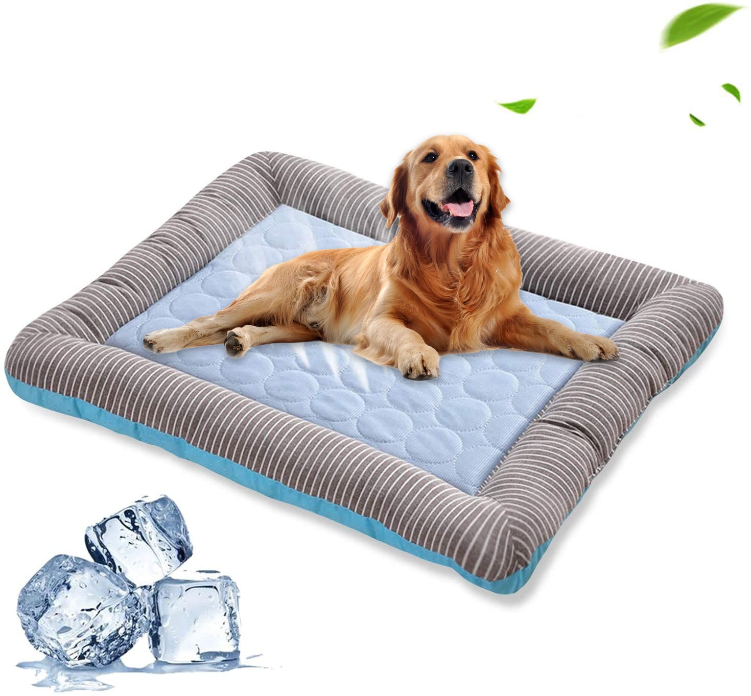Golden retriever resting on the Chill Pad cooling bed